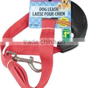 dog collar and leash