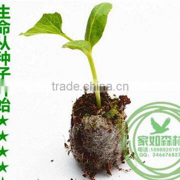 China Manufacture Excellent Quality Best Price Cell Seed Tray photo-6