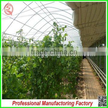 Commercial Plastic Vegetable Greenhouse for Sale With Seedbed photo-5