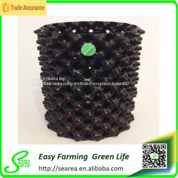 Irrigation Air Root Container Agriculture photo-4