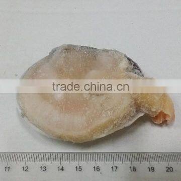 Raw Frozen Half-shell Huge Clam photo-2