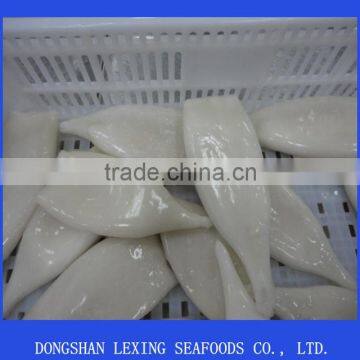 frozen illex argentina squid tube