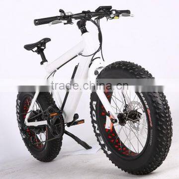 2017 New Design 20 Inch 36V 350W Non-foldable Electric Fat Bike photo-5