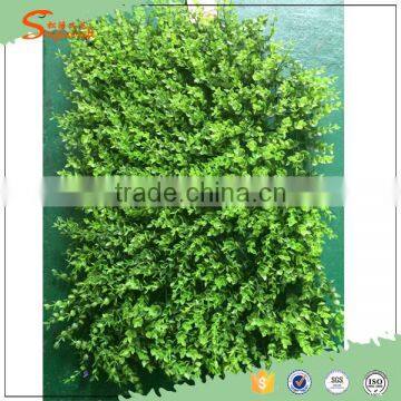 2016 International Certified Professional Leisure Venues Fire Resistant Artificial Grass Wall photo-4