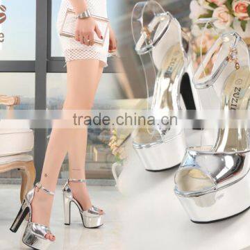 Zm50324b Summer New Style Chunky Heels Ladies Sandal 14cm Women Shoes High Heels photo-5