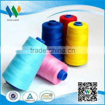 Dyed Pattern 40S/2 Poliester Sewing Thread Great Price Thread photo-2