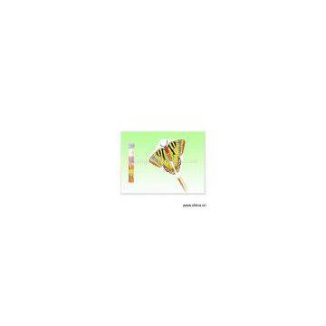 Sell Butterfly Kite (N66632)