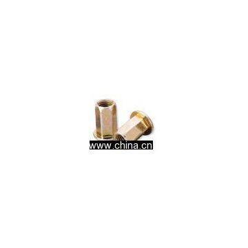 HEX Blind Rivet Nuts