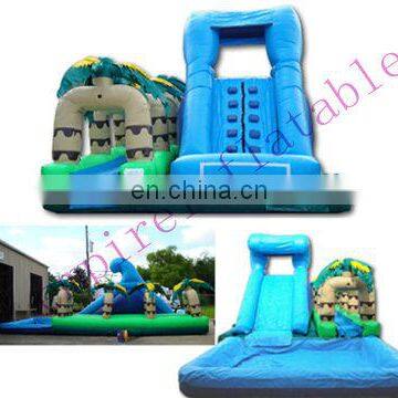 giant inflatable pool slide for adult,big inflatable toys WS012