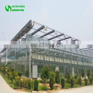 Glass Greenhouse For Vegetable And Flower Planting Sales