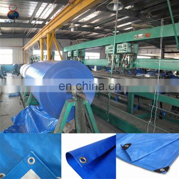 Waterproof transparent clear tarpaulin plastic sheet