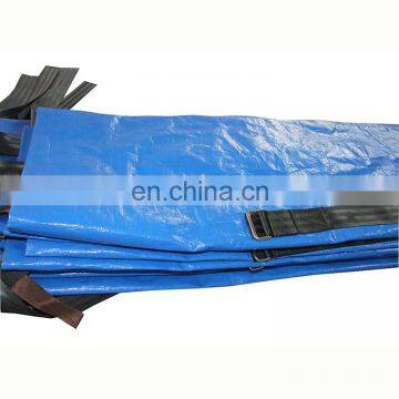 Tear Resistant Exporting Japan Blue PE Mattress Covers