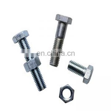 Fastener High Quality Custom Screw and Bolt