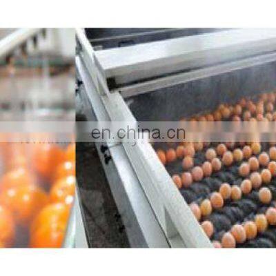 304 Orange Avocado Material Conveyor Belt Machine Fruits Conveyor Machinery photo-3