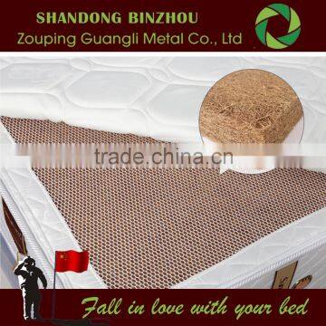 China Manufacturer Latex Mattress for Mattress Pump photo-2