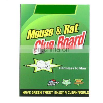 Professional Strength That Work Capturing Indoor and Outdoor Rat