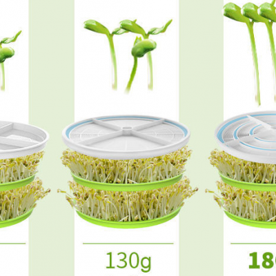 Supply OEM/ODM Bean Sprout Machine photo-2