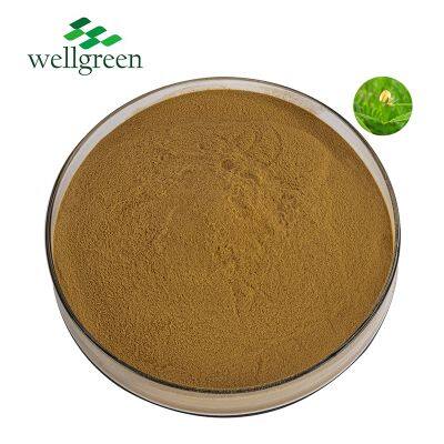 Saponins Natural Organic Radix Polygalae Polygala Tenuifolia Thinleaf Milkwort Root Extract