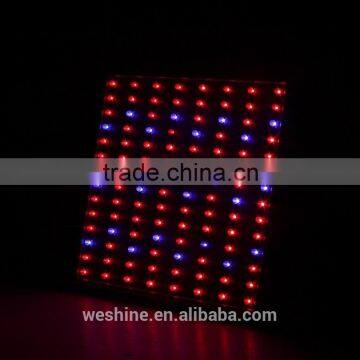 Wholesale Cheap 14w Two Channels Par Led Grow Light 2016 Calgary Potatoes Seeding Hydroponic Garden Lights photo-6