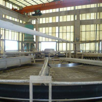 Fosfato Dicálcico(DCP) Polvo 18% photo-4