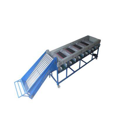 Машина для сортировки киви из Шанхая. Машина для сортировки и классификации китайских крыжовников