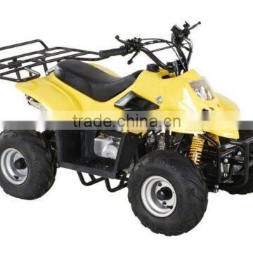 110cc kids mini quad bike(LD-ATV311)