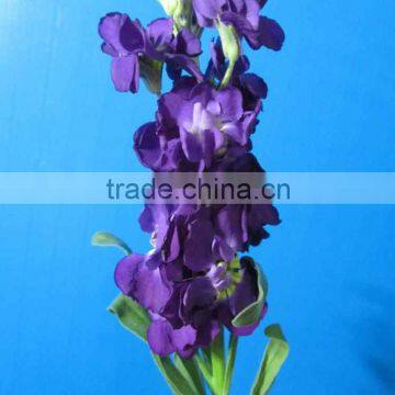 Quality latest cut fresh violet flower