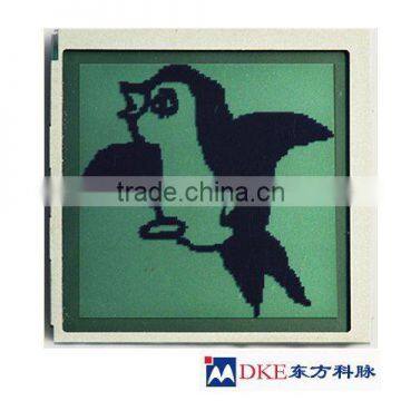 160x160 COG LCD Module