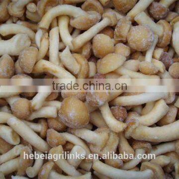 Frozen style Chinese nameko mushroom