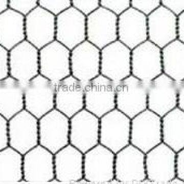 Hexagonal Wire Mesh