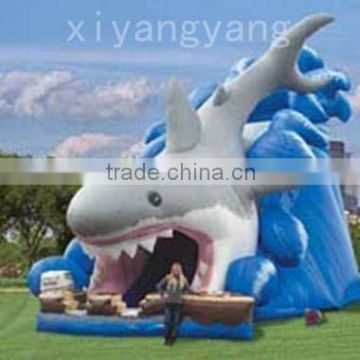 Inflatable Slide