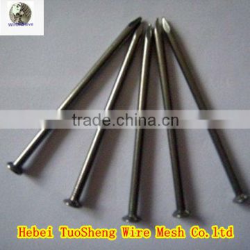 Zinc galvanized nails/Common wire nail/umbrella head roofing nails