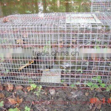 Q195 Wire Material Animal Cage