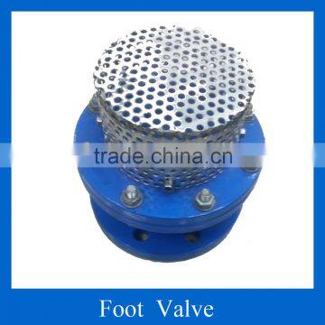 Cast Ductile iron foot valve with strainer