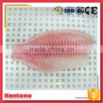 Frozen Tilapia Fillet Fish for Sale