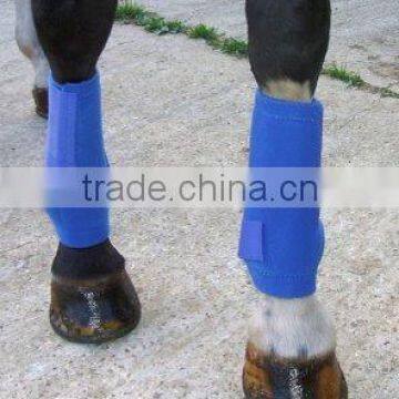Neoprene horse leg wrap Model:JM-MJ090805