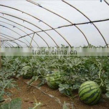 professional super transparent soft plastic PE protection greenhouse plastic film