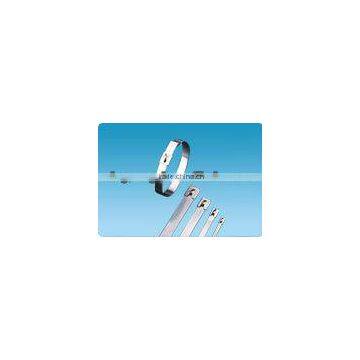 Supply chinl brand 304 stainless steel cable Ties 7.9*300(ISO9001 UL)