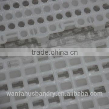 high poultry farm broiler&duck clean plastic flooring