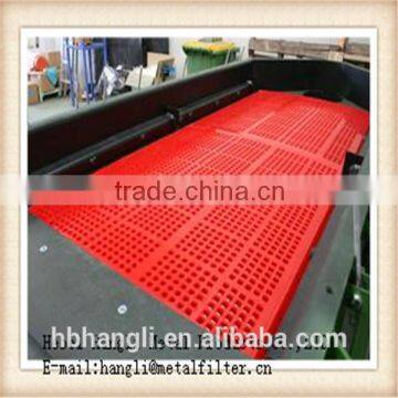 2016hot Sale Low Price High Presision Polyurethane Sieve Mesh for Mining Sieving photo-4