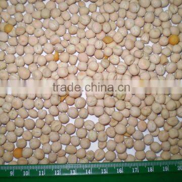 Unpolished Whole Yellow Peas From Ukraine