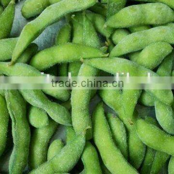 Best quality iqf frozen soybean wholesale soybean price