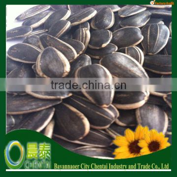 New Crop High Quality Hulled Striped Black Sunflower Seeds