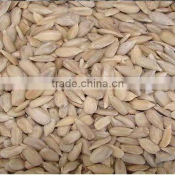 bulk raw sunflower kernels for expot to other countries