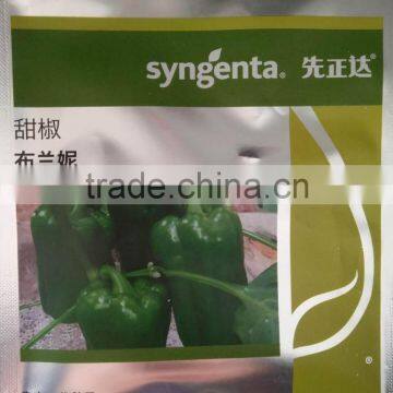 syngenta pepper seed sweet pepper hybrid F1 pepper red pepper