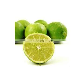 Lime Oil manufacturer.