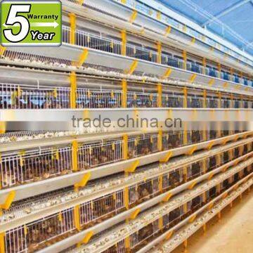 wire mesh layer quail cage for poultry farm