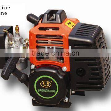 gasoline engine