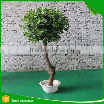 Mini Bonsai Artificial Ficus Ball Tree photo-2