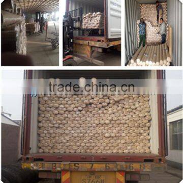 Factory Price BWG Standard 2x2 Inch Welded Wire Mesh Panel With Galvanized photo-6